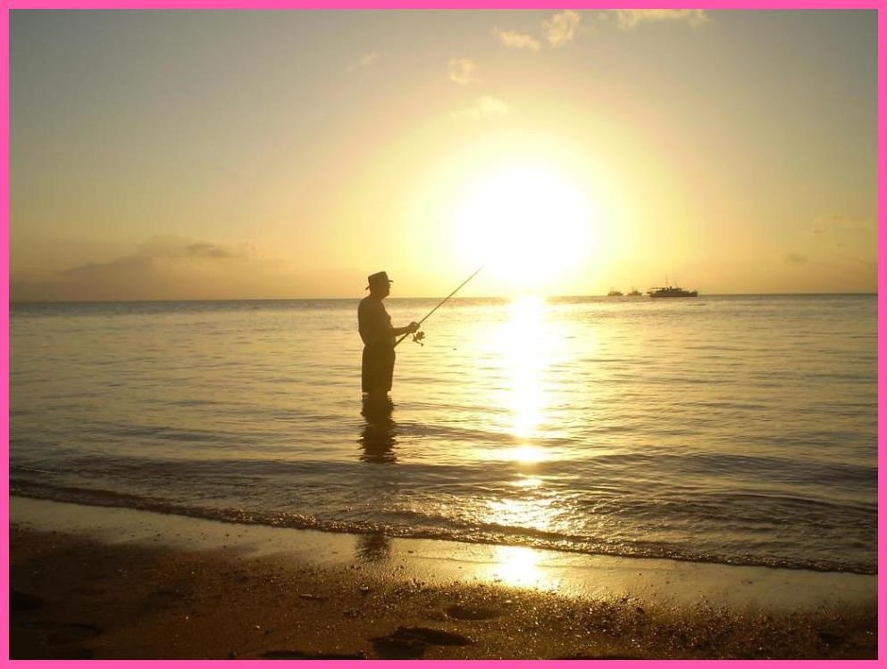 18 Nelly Fish Don T Fry In The Kitchen T2U8 EFFIE MERRILL'S BLOG