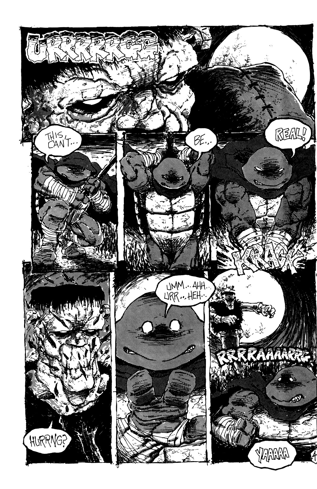 Teenage Mutant Ninja Turtles (1984) Issue #5 #5 - English 45