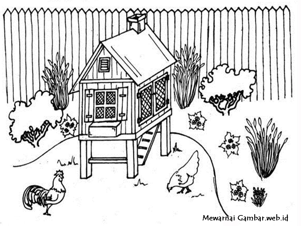 [99+] Anak Ayam Jago Gambar Ayam Kartun Gratis Download | Cikimm.com