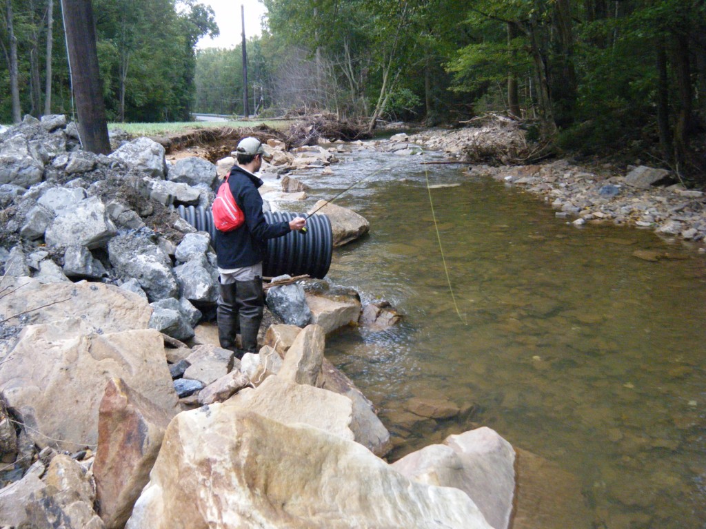 eddie bauer sling pack