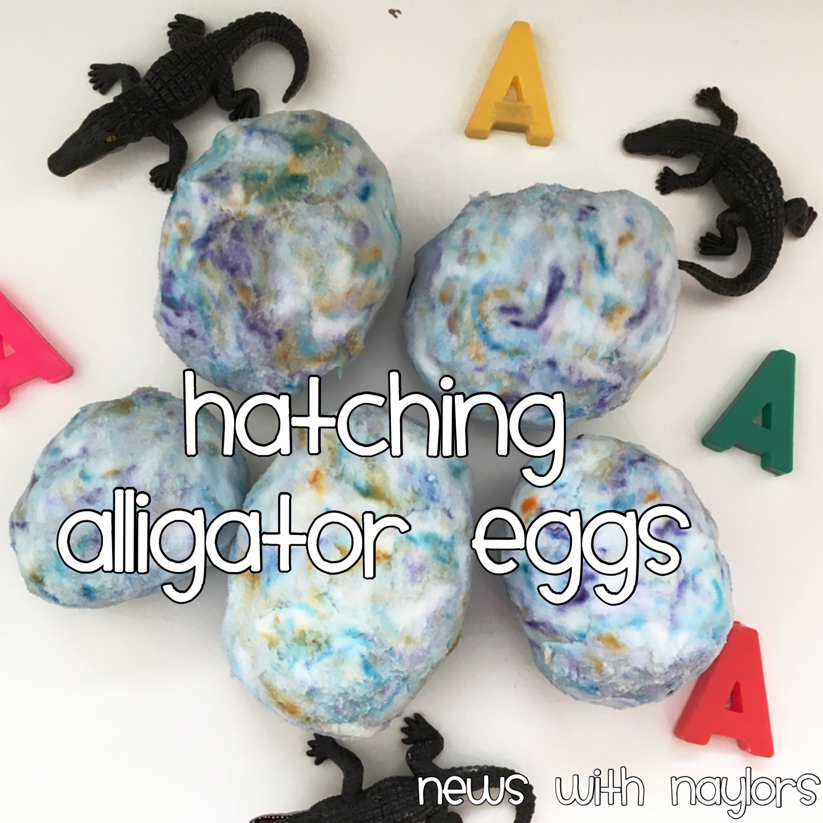 Hatching Alligator Eggs
