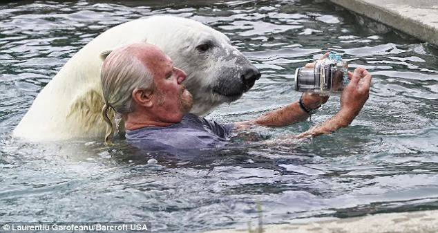 Snap happy: Mark takes a picture of his ginormous pal as they take a swim together
