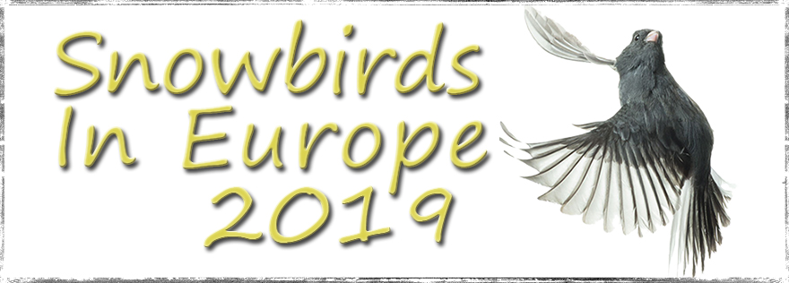 Snowbirds in Europe 2019