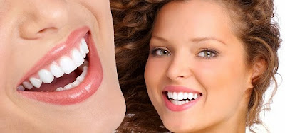 Các loại răng ở người và chức năng từng loại