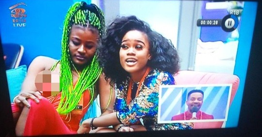 Bbnaija 2018 Housemate Alex Suffers Wardrobe Malfunction On Live