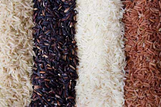 diferentes tipos de arroz