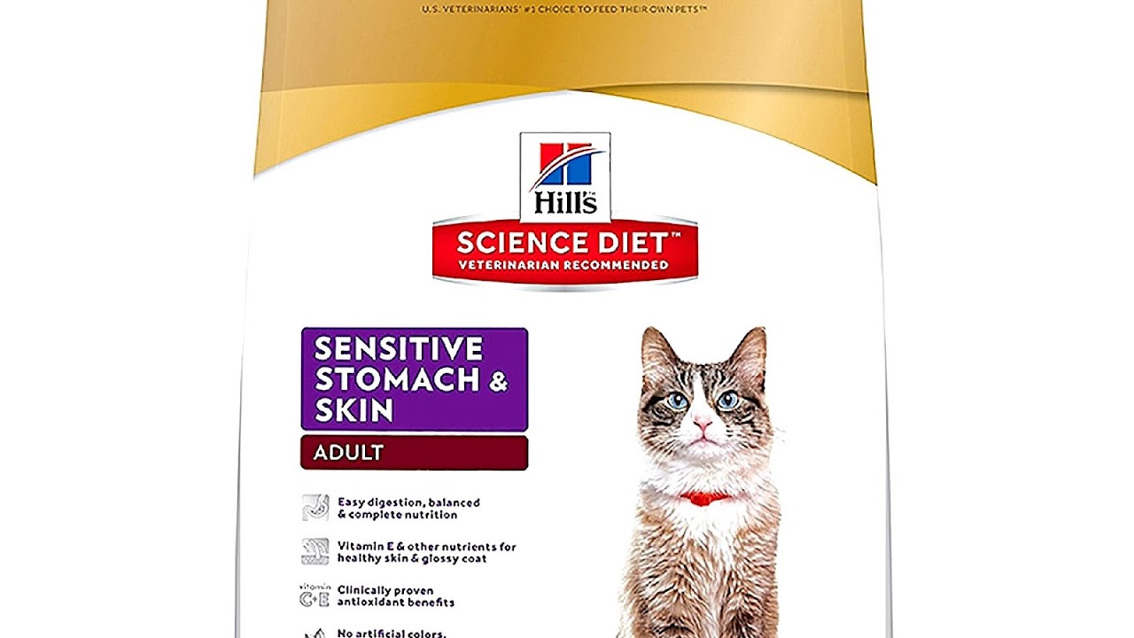 Best Cat Food For Sensitive Stomachs Cat Choices