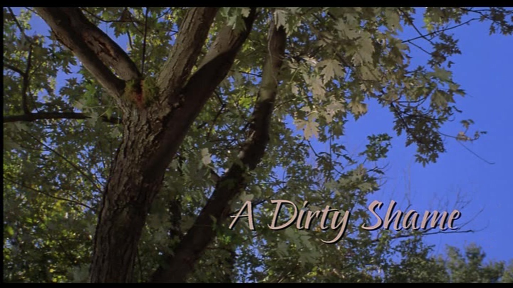 Jean Dorel regarde des films A dirty shame (John Waters, 2004)