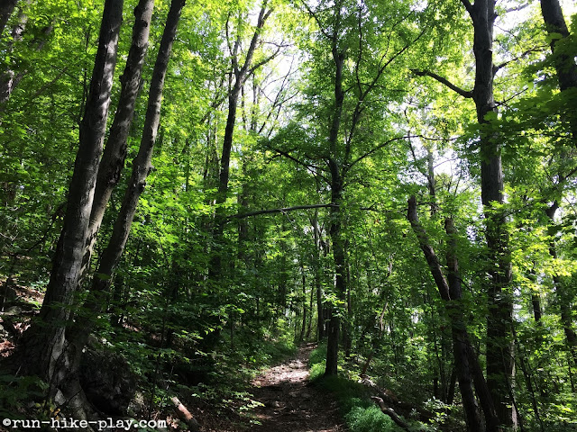 Hiking to Pulpit Rock