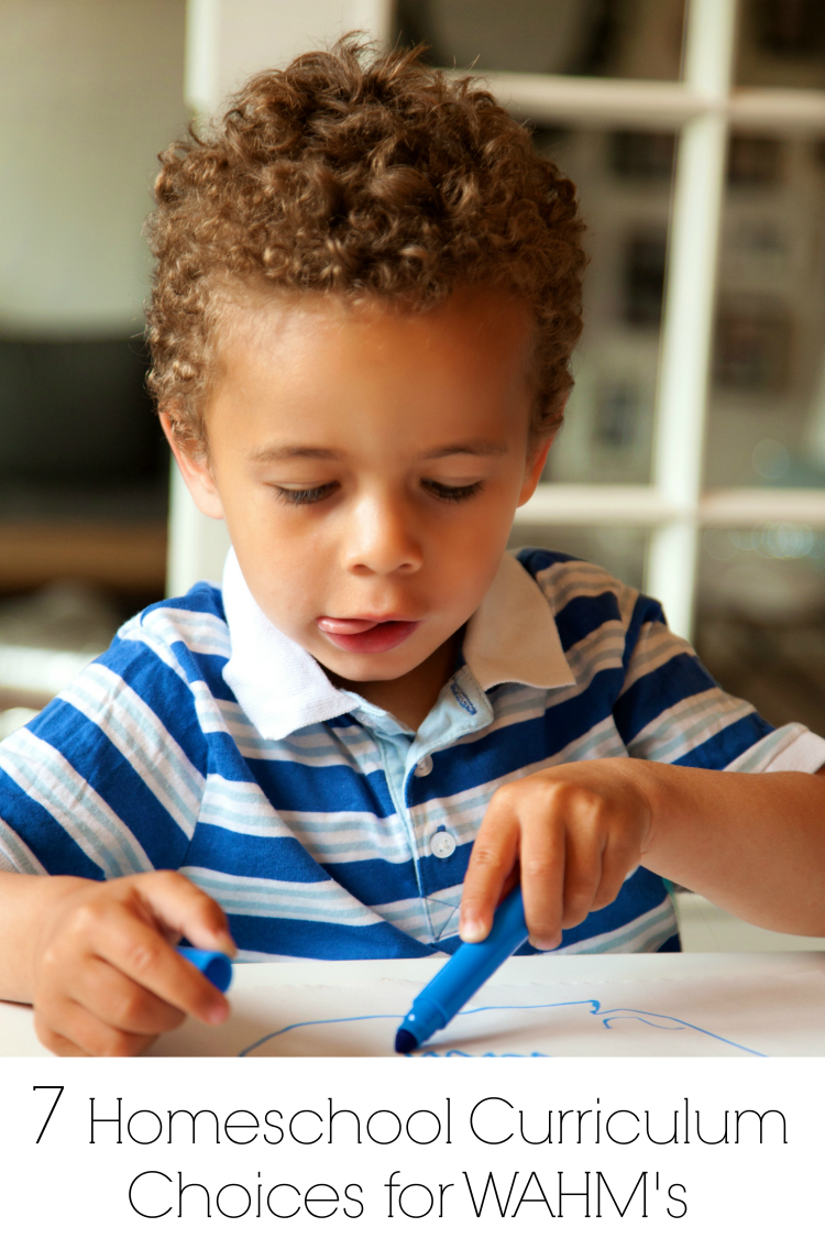 7 Great Homeschool Curriculum Options for the Work at Home Mom 1099 Mom