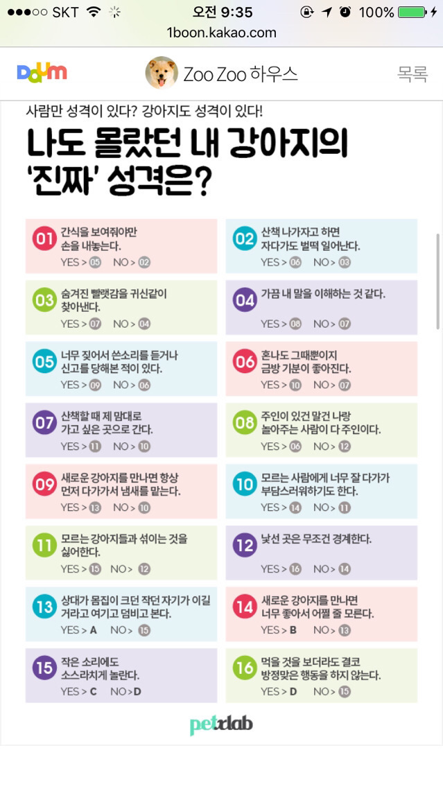 나도 몰랐던 내 강아지의 성격은?.test | 인스티즈