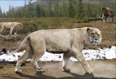 10.000 χρόνων Λιοντάρια των σπηλαίων ανακάλυψαν τέλεια διατηρημένα στην Σιβηρία!  