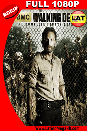 The Walking Dead: Temporada 4 (2013) Latino Full HD BDRIP 1080P ()