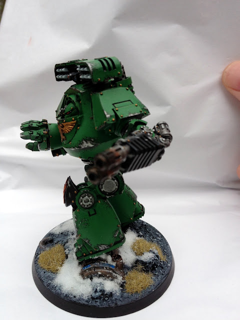 Salamanders Contemptor - Left View