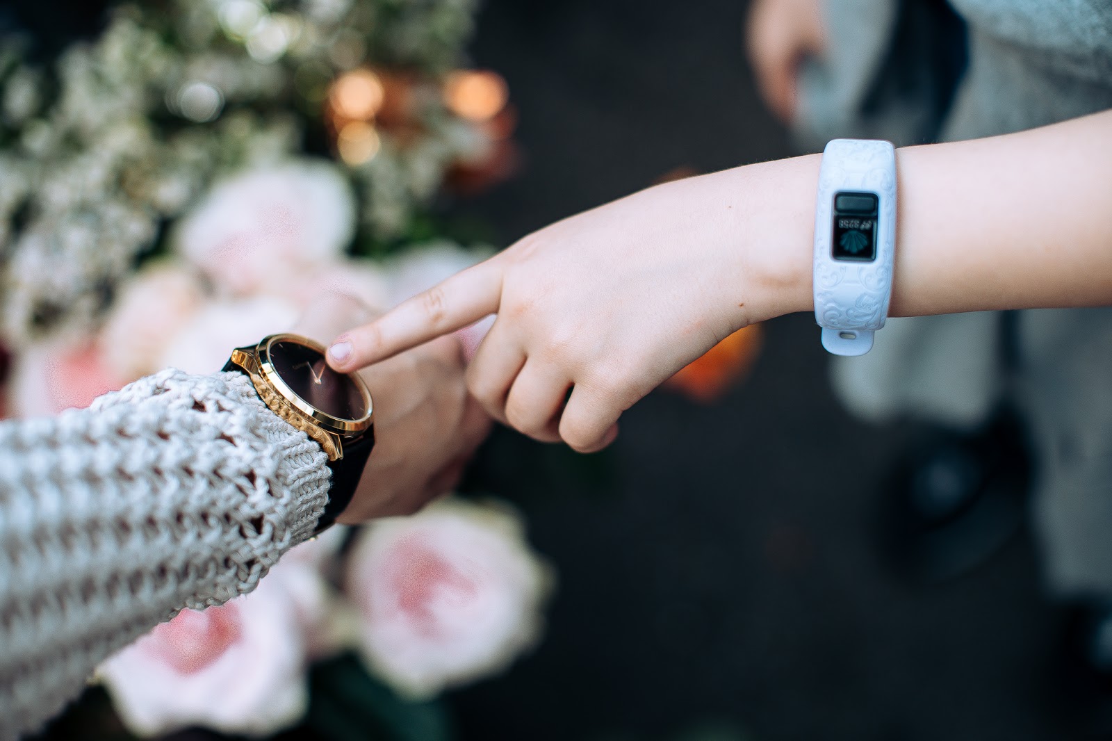 Aktivitaten Und Delfinarium In Tulum Bahia Principe Hotels