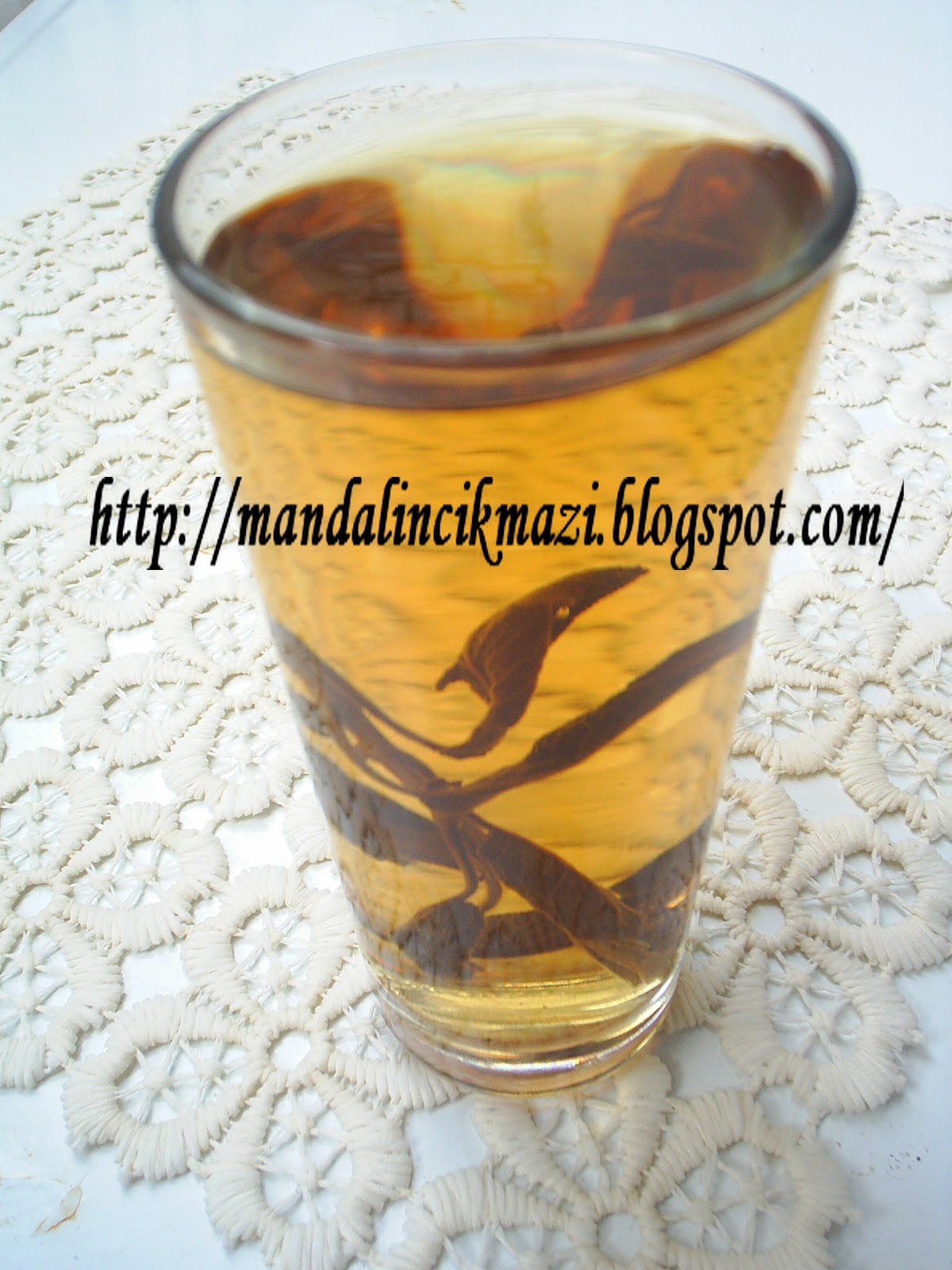 * mandalinçıkmazı * Şubat 2012