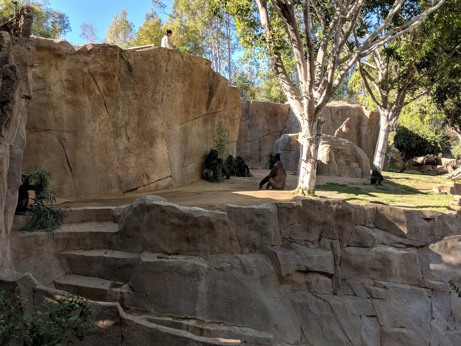 Volunteer opportunities houston thanksgiving in houston tx Volunteer opportunities houston thanksgiving in houston tx