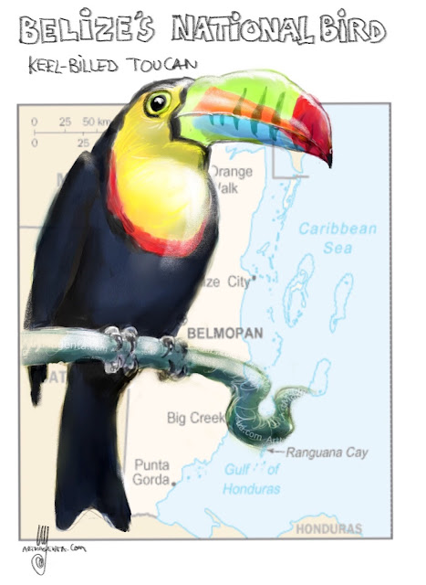 National bird of Belize Bird painting by Ulf Artmagenta