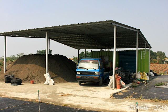Estudiando Agricultura en Taiwán: Un Vivero de Plantas de Exterior en