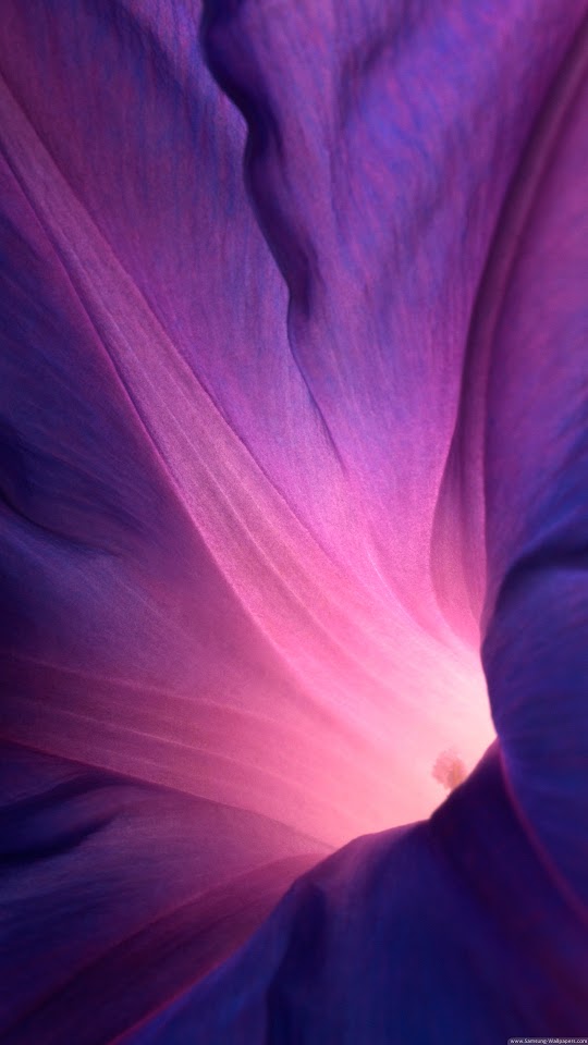 Sony Xperia Z1 Official Stock Flower Lock Screen  Android Best Wallpaper