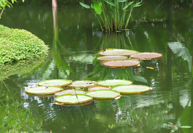 Singapore Botanic Gardens