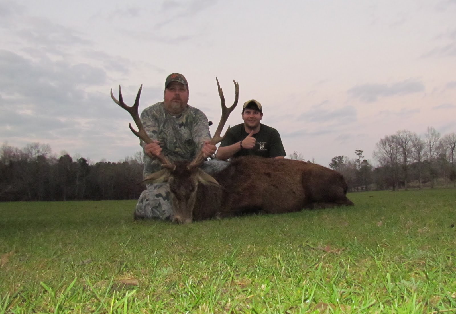 The Hunting Company Worldwide Hunting and Film Mississippi Red Stag