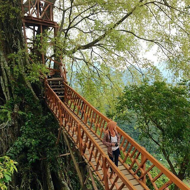 Curug Ciherang dan Rumah Pohonnya, Spot Keren Untuk 