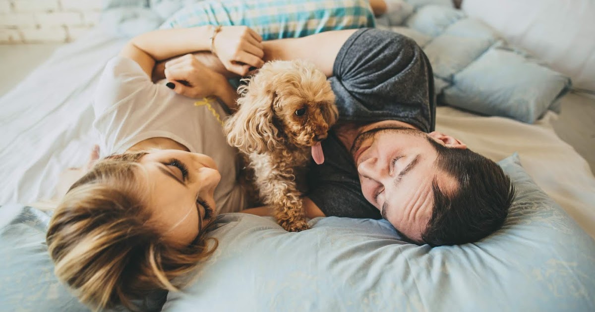 Health and Fitness CuddleLovers Rejoice Here Are 6 Surprising Health