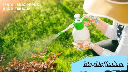 Jenis Pupuk Daun Terbaik Jenis Pupuk Daun Terbaik