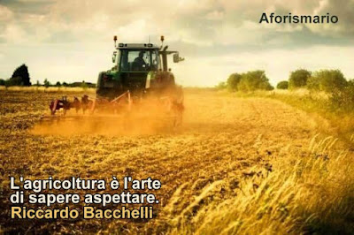 Aforismario Aforismi Frasi E Proverbi Sull Agricoltura