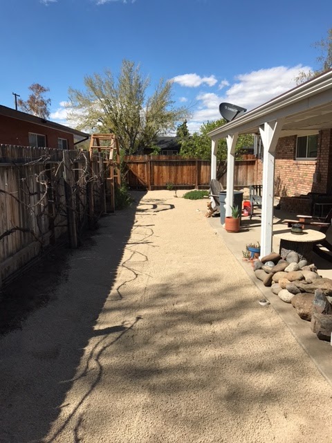 Backyard renovations after dg
