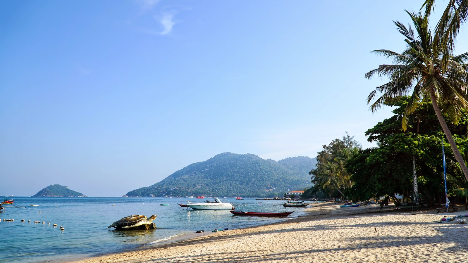 Strolling along Mae Haad beach