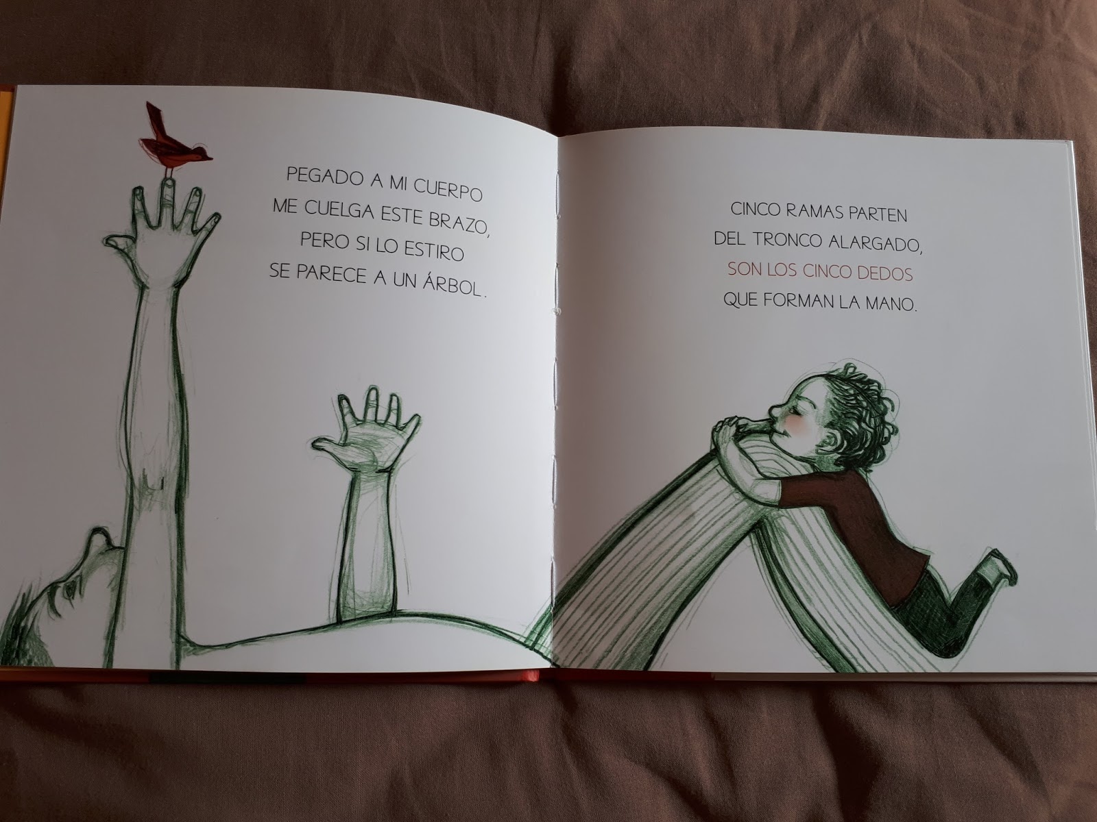 Coleccionando cuentos El bosque encantado