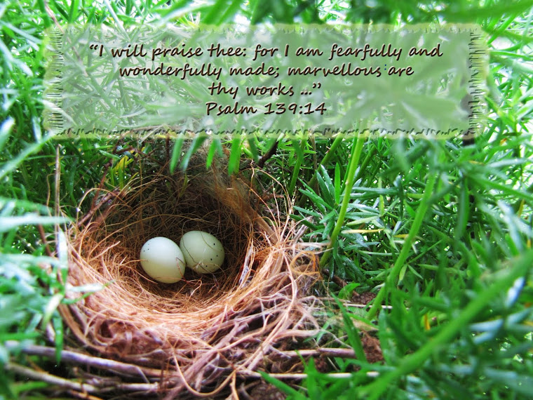 Bird's Nest - Psalm 139:14