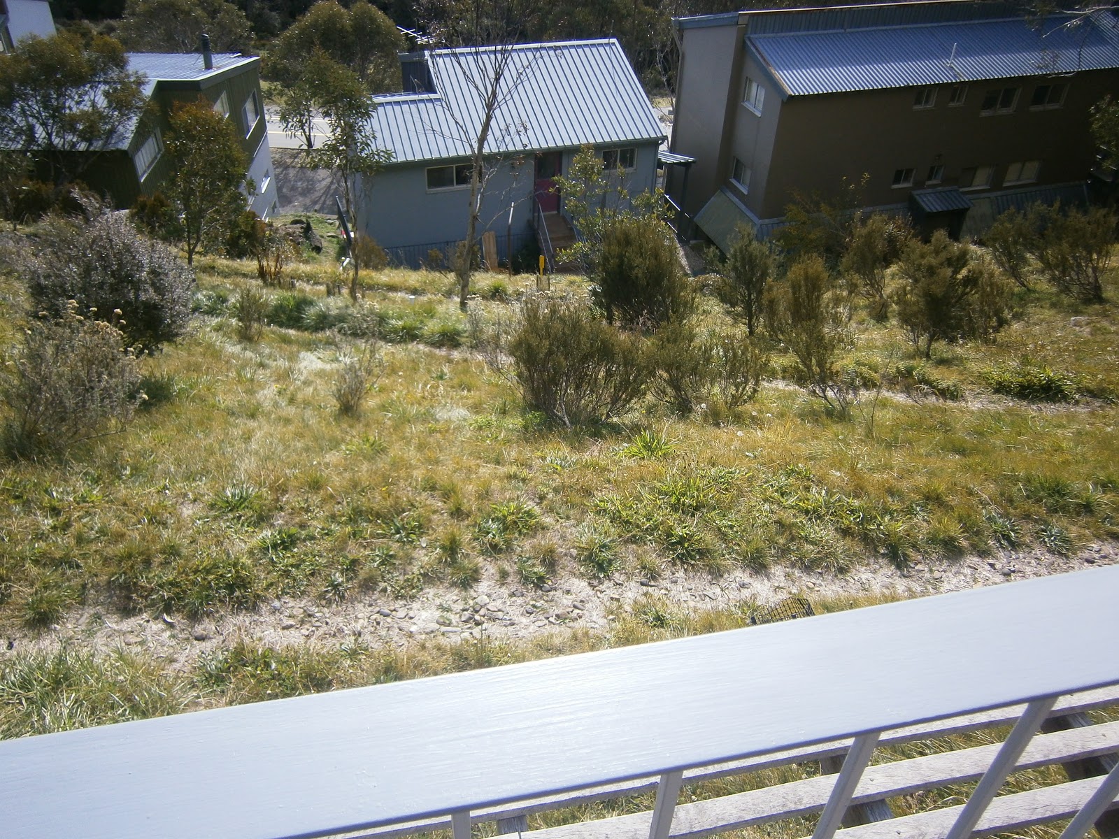 Our Great Australian Adventure... Thredbo Landslide of 97! Does
