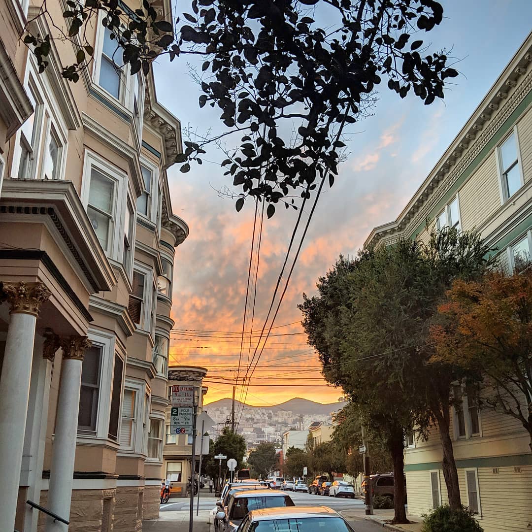 This Week in Noe Valley No Love (and Lots of Ridicule) for Doggy Style