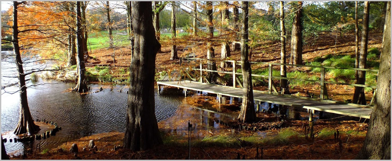 Botanischer Garten Hamburg im November 2013