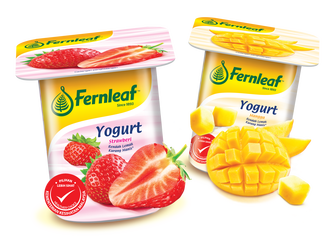 Yogurt Fernleaf Alternatif Sarapan Sihat untuk Pagi yang Sibuk