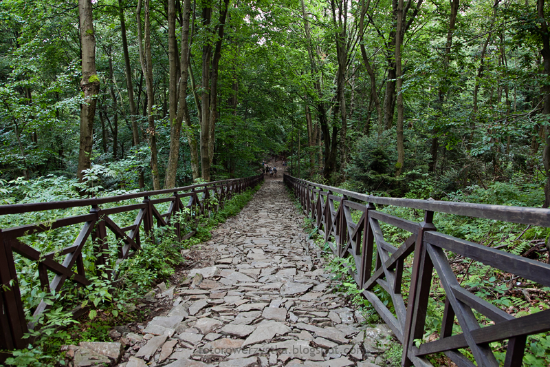 Święty Krzyż,świętokrzyskie,Świętokrzyski Park Narodowy,Droga Królewska