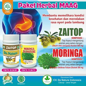 Jual Obat Maag/Asam Lambung Merk De Nature Indonesia