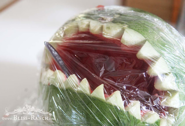 Watermelon Shark Bliss-Ranch.com