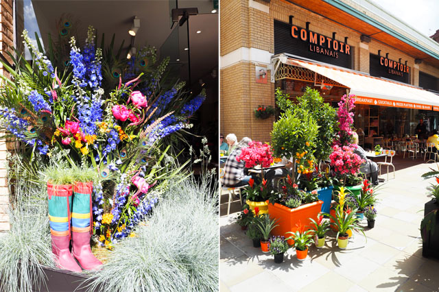 Chelsea in Bloom Chelsea in Bloom