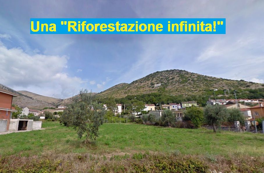 PIANA DI MONTE VERNA. A distanza