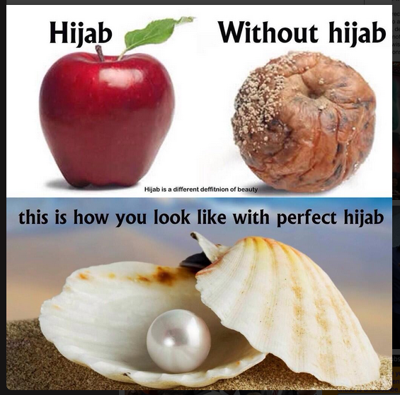 Great Example Of Why a Women Should Wear Hijab Hijab Styles, Hijab