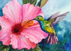 hibiscus pink hummingbird watercolor painting mango flowers paintings flower hummingbirds oil breasted acrylic birds bird zeh zehoriginalart humming bluebutterfliesandme floral