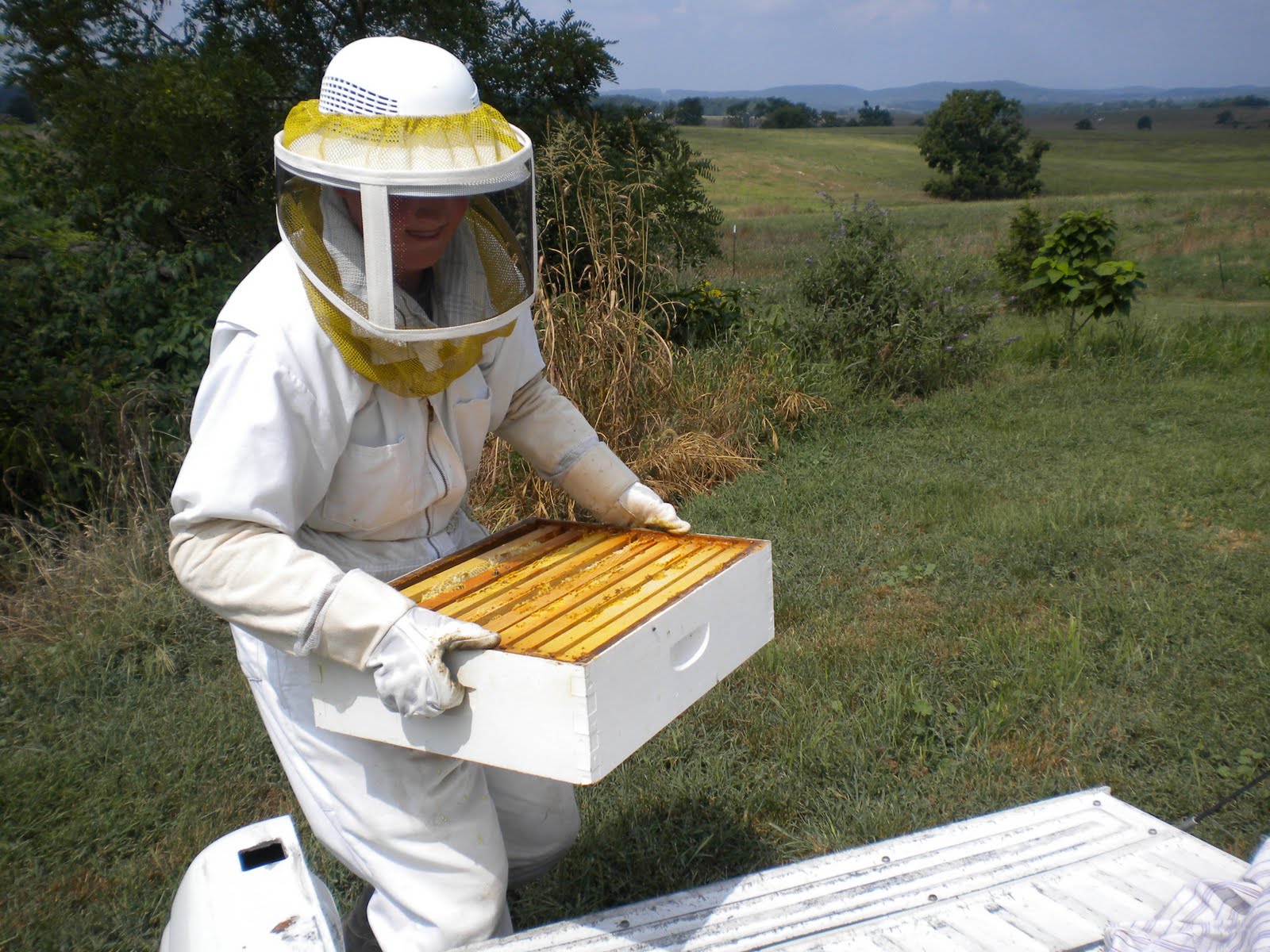RightsideVA Honey Harvest Winfield Farms