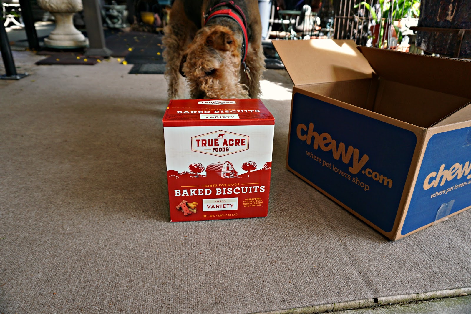 true acre dog food rating