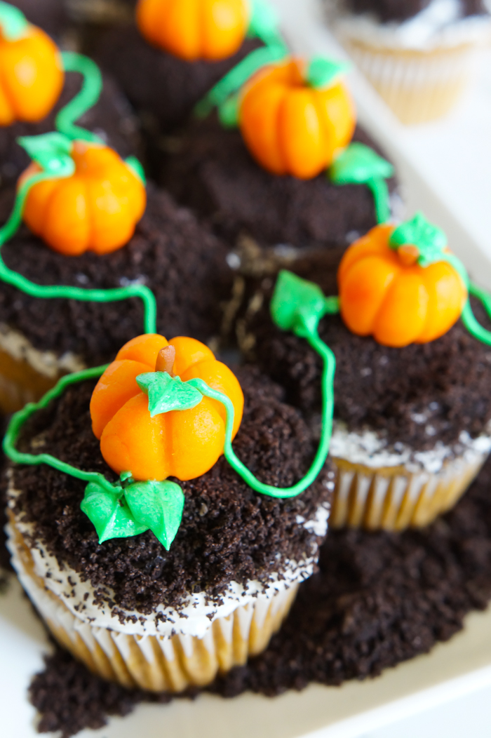 Pumpkin Patch Cupcakes Bake at 350°