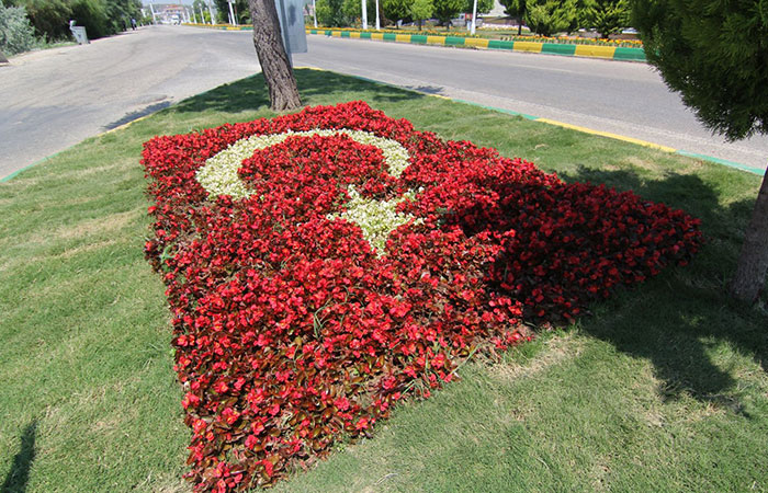 Turk bayragi gul resimleri 9