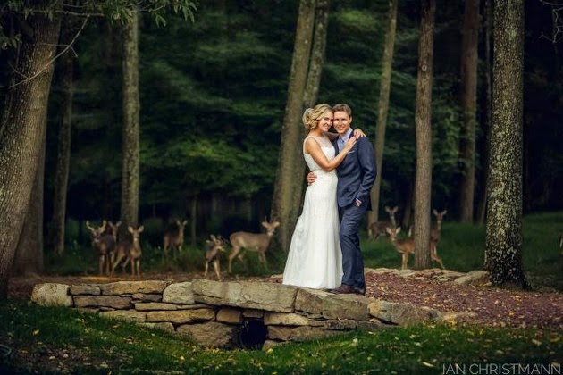 Deerly-Beloved Wedding